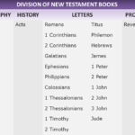 Discover Every Book of the New Testament: A Comprehensive Guide